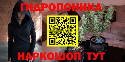 СК Севастополь