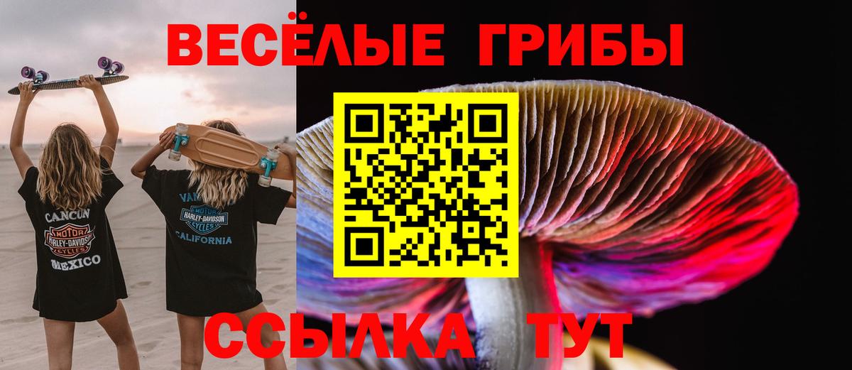 Галлюциногенные грибы прущие грибы  Вход с VPN  Обь 
